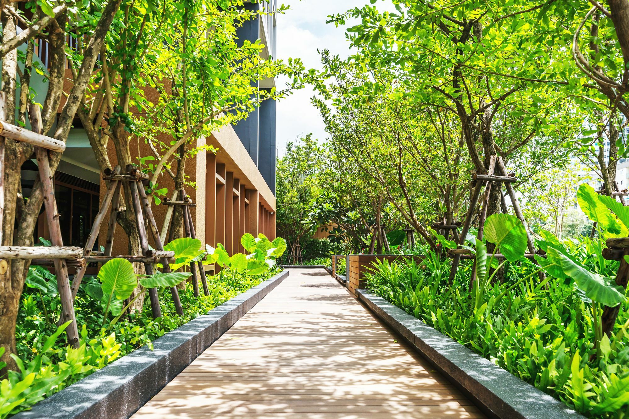 Hasu Haus By Favstay Banguecoque Exterior foto